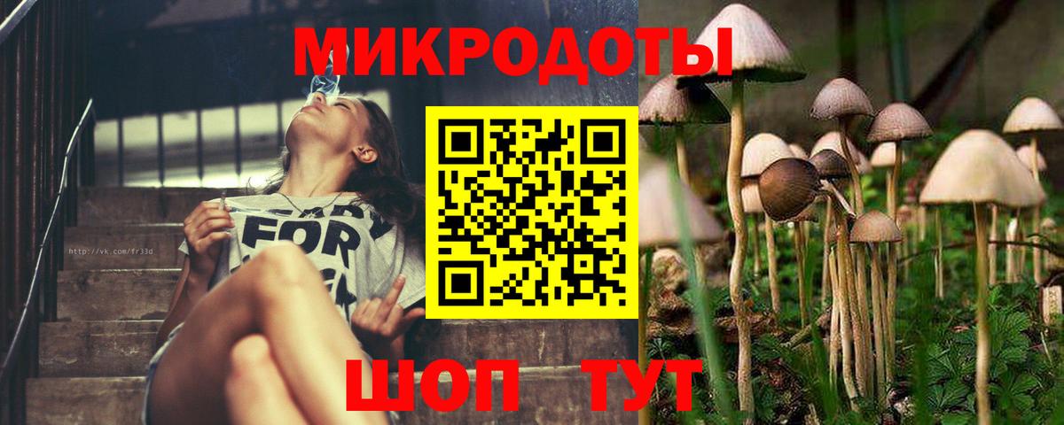 Галлюциногенные грибы Psilocybine cubensis Ливны