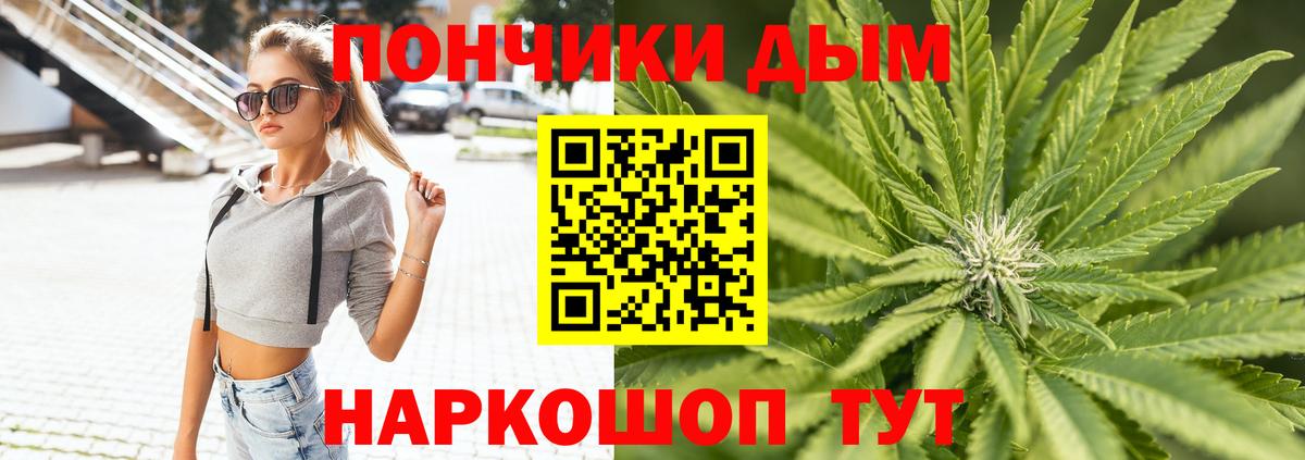 Канабис сатива Ливны